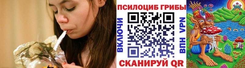 купить закладку  Буй  Псилоцибиновые грибы Cubensis 